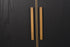 Areeba 2 Door Sideboard